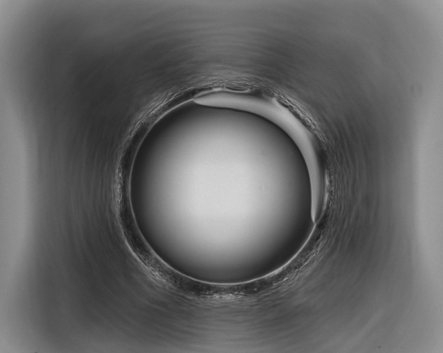 X0000116870586200912221407