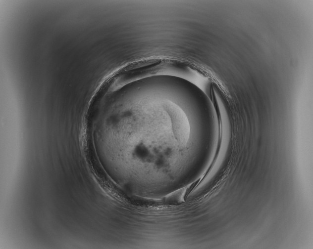 X0000116870588200912221407