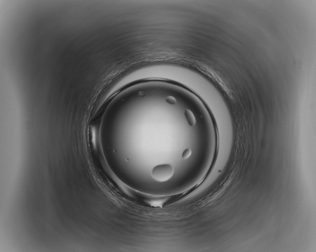 X0000116870589200912221407
