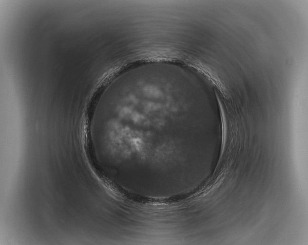 X0000116870590200912221407