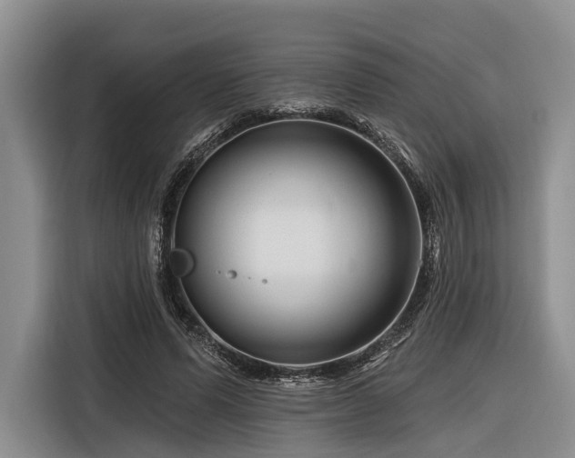 X0000116870591200912221407