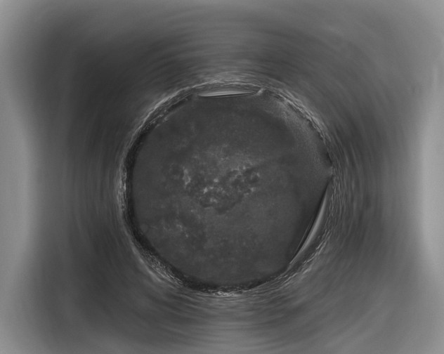 X0000116870592200912221407