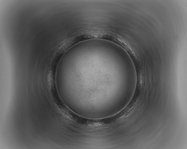 X0000116870594200912221407