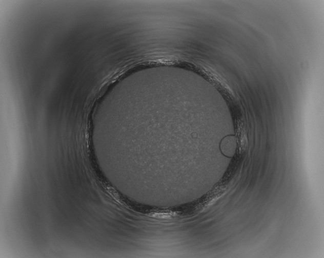 X0000116870595200912221407
