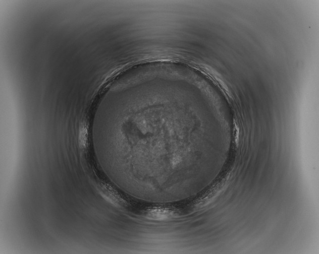 X0000116870596200912221407