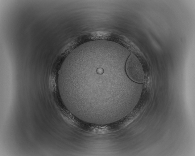 X0000116870599200912221407