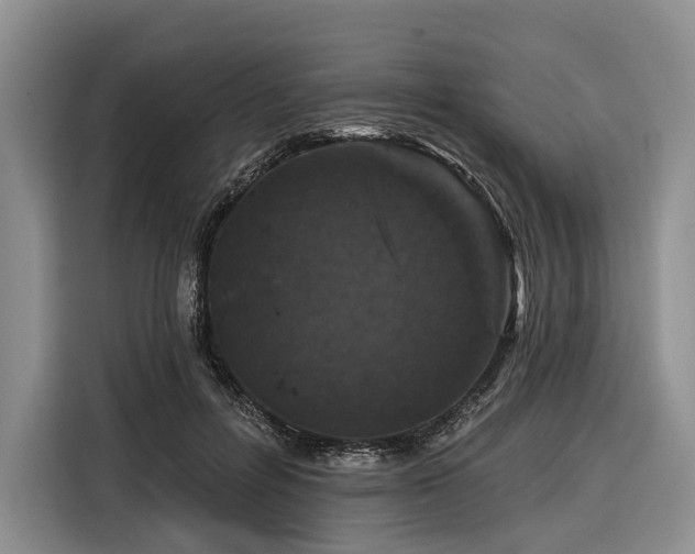X0000116870600200912221407