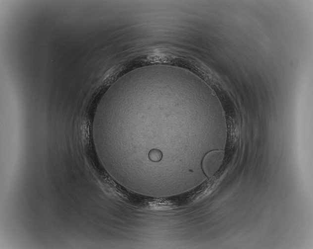 X0000116870603200912221407