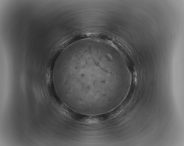 X0000116870604200912221407