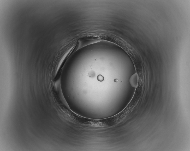 X0000116870605200912221407
