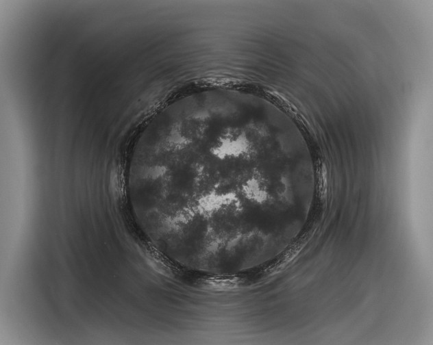 X0000116870606200912221407