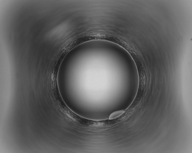 X0000116870609200912221407