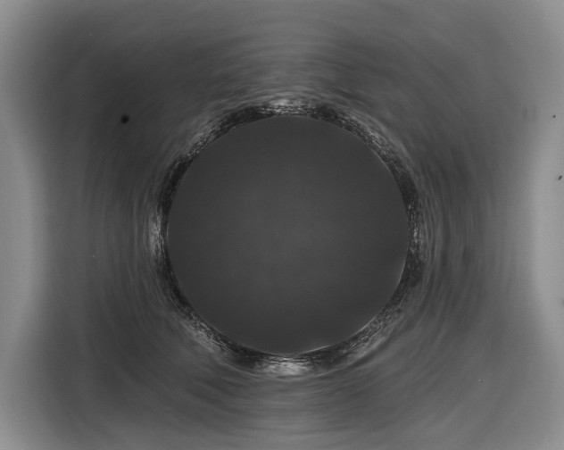 X0000116870610200912221407