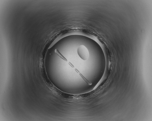 X0000116870612200912221407