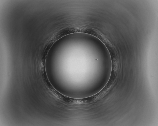 X0000116870613200912221407