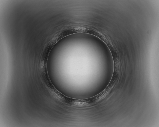 X0000116870614200912221407
