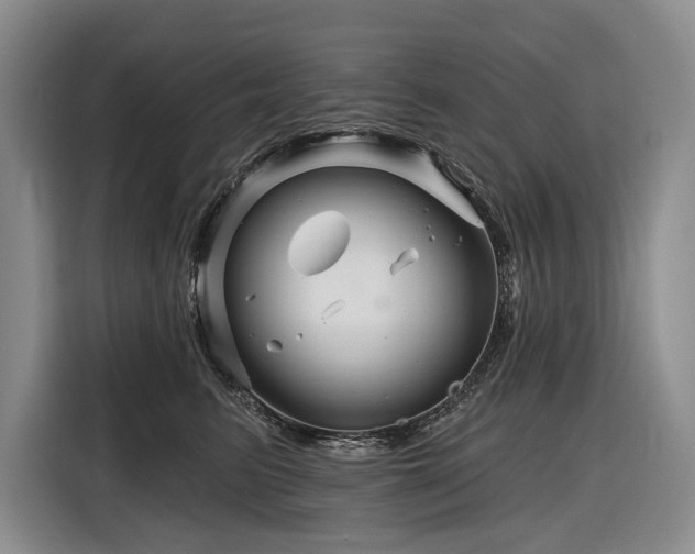 X0000116870615200912221407