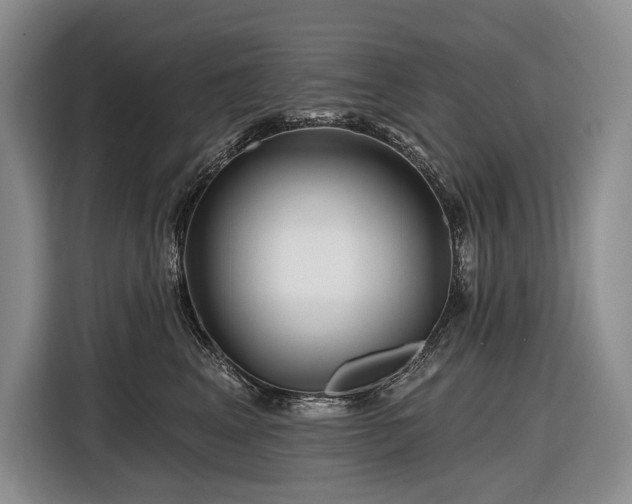 X0000116870617200912221407