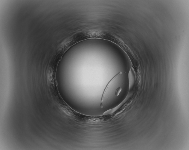 X0000116870619200912221407