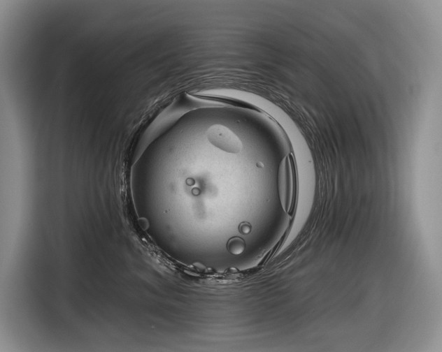 X0000116870620200912221407