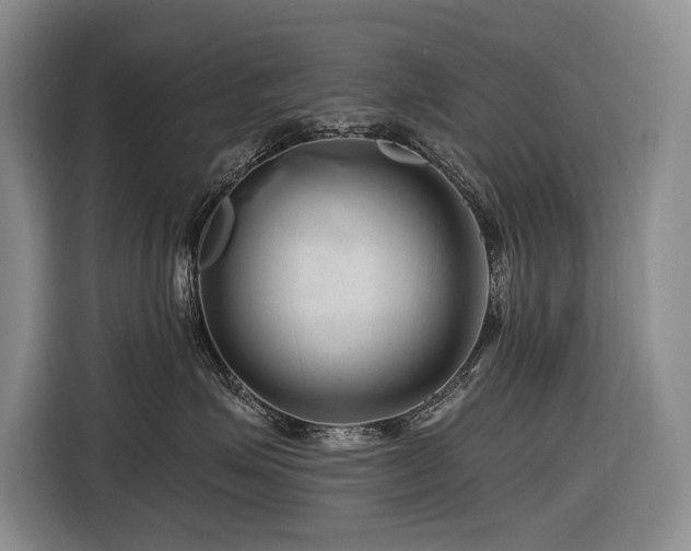 X0000116870623200912221407