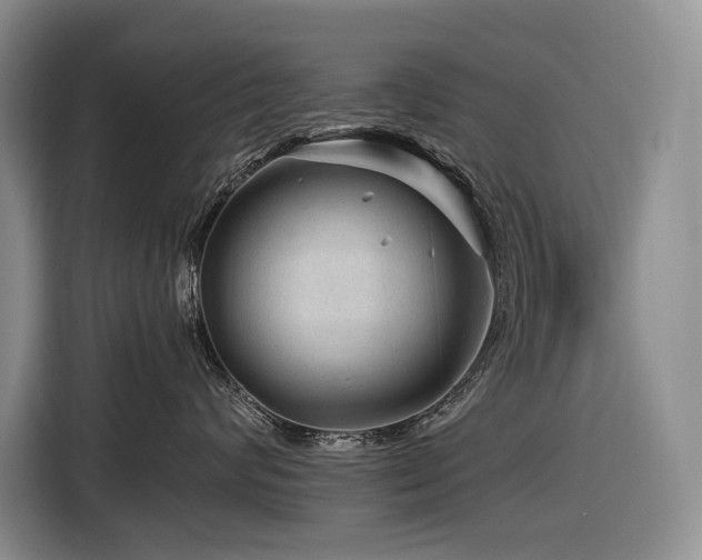 X0000116870624200912221407