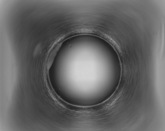 X0000116870625200912221406