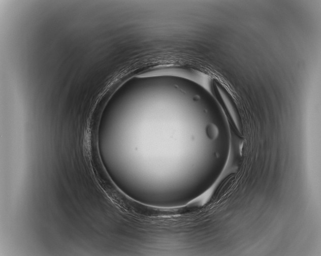 X0000116870626200912221406