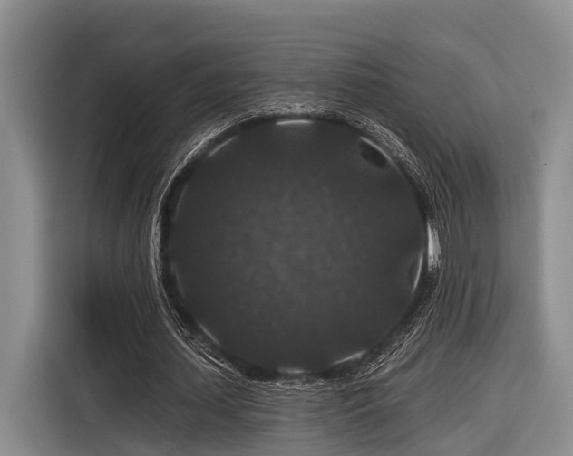 X0000116870627200912221406