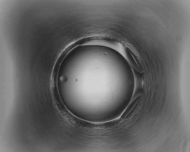 X0000116870628200912221406