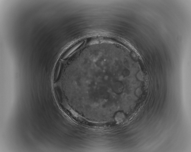 X0000116870629200912221406