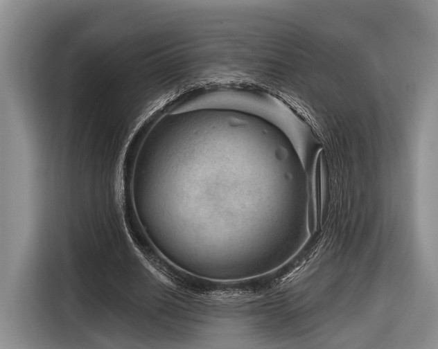 X0000116870630200912221406