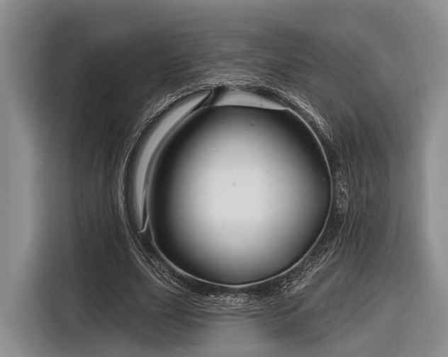 X0000116870631200912221406