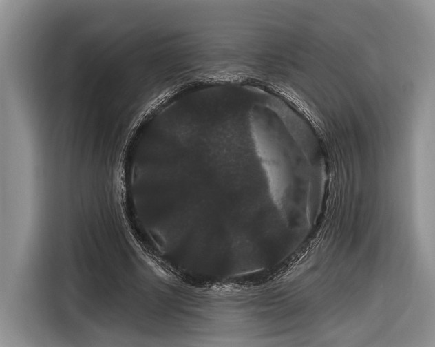 X0000116870634200912221406