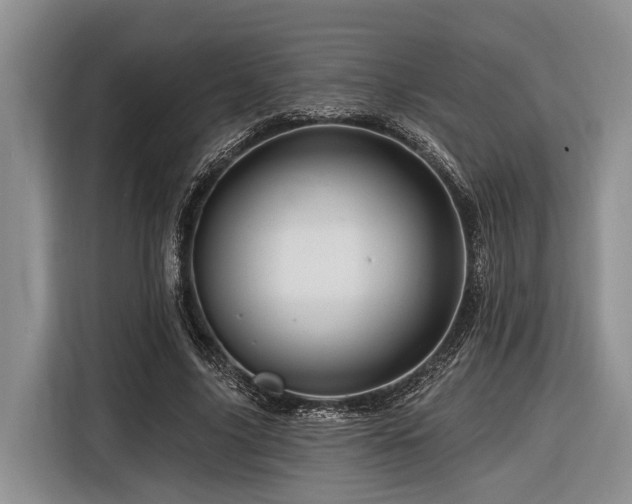X0000116870635200912221406