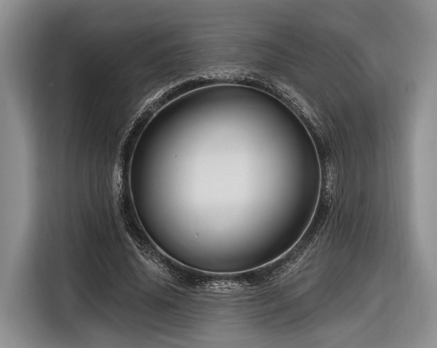 X0000116870636200912221406
