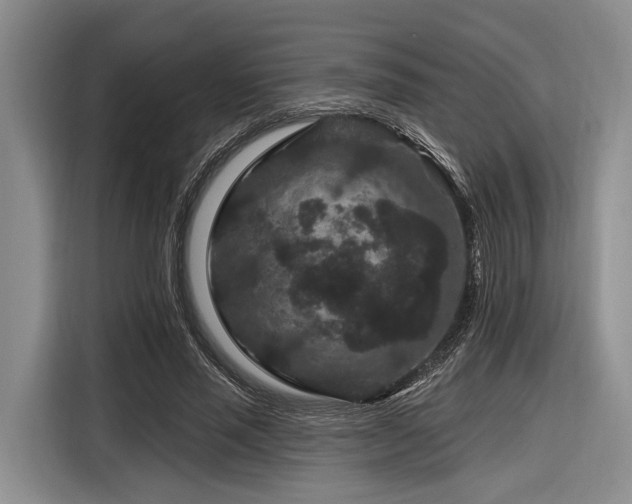 X0000116870637200912221406