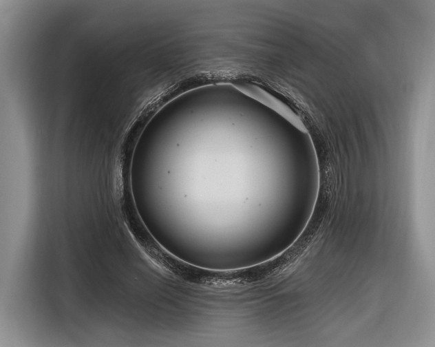 X0000116870638200912221406