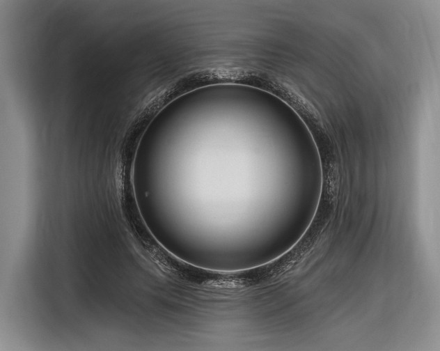 X0000116870639200912221406