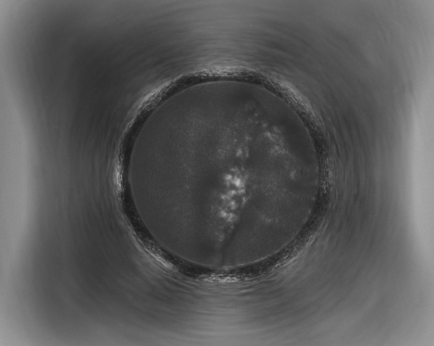 X0000116870640200912221406