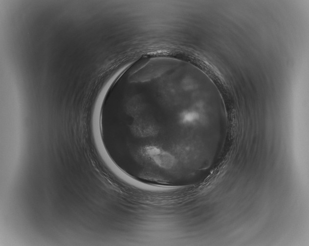 X0000116870641200912221406