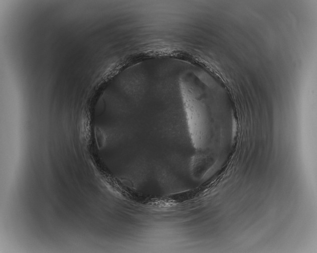 X0000116870642200912221406