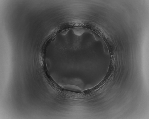 X0000116870643200912221406