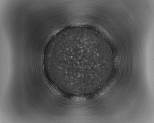X0000116870644200912221406