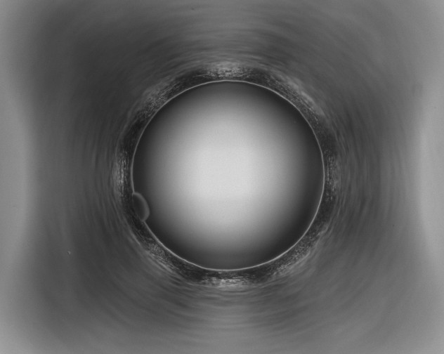 X0000116870645200912221406
