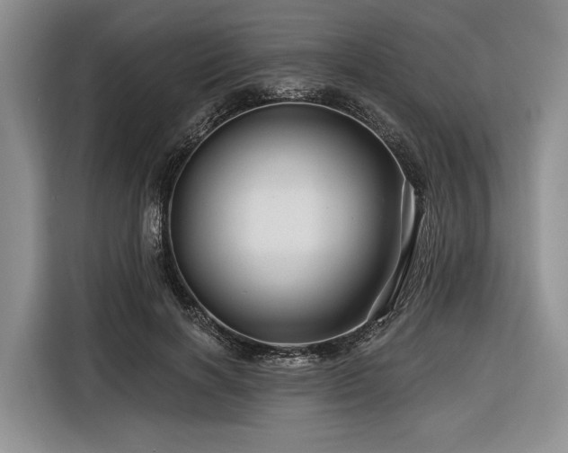 X0000116870646200912221406