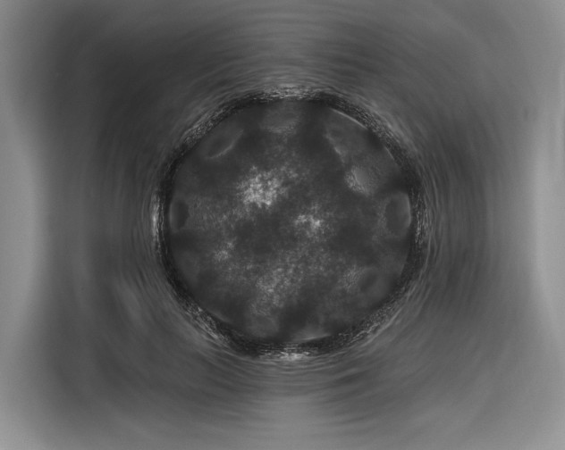 X0000116870647200912221406