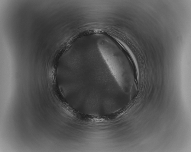 X0000116870650200912221406