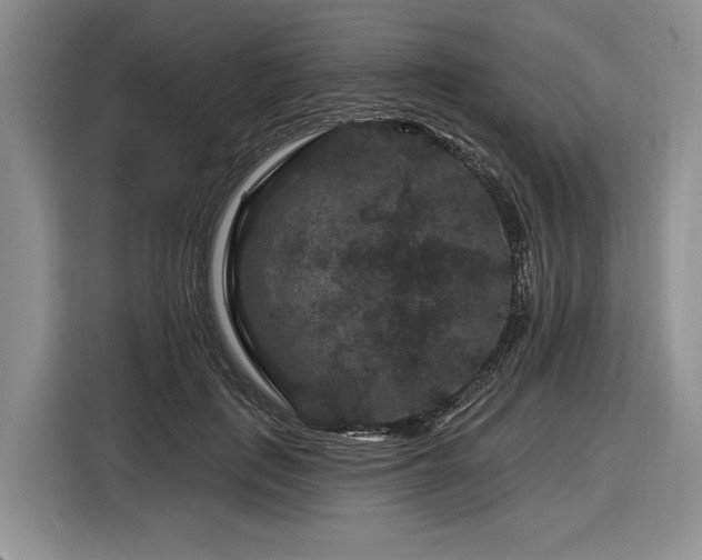 X0000116870651200912221406