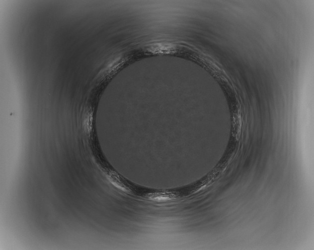 X0000116870652200912221406